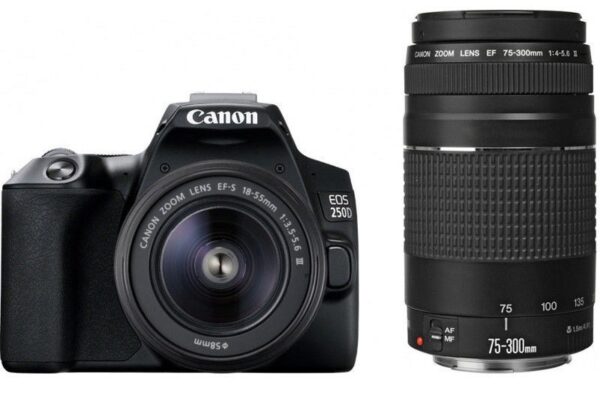 Зеркальный фотоаппарат Canon EOS 250D